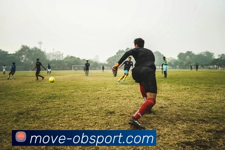 OB体育平台生态图