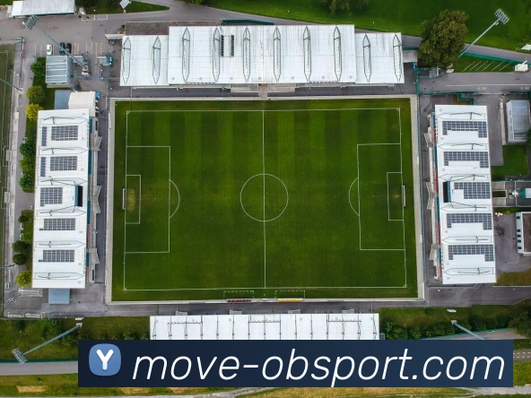 OB体育APP 封面图